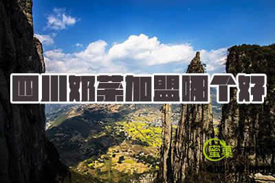 四川奶茶加盟哪个好，蜜菓奶茶加盟优势多多