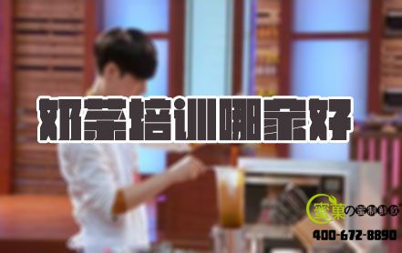 想学奶茶培训去哪里学好？蜜菓奶茶培训包学会