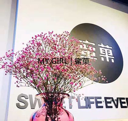 蜜菓奶茶加盟