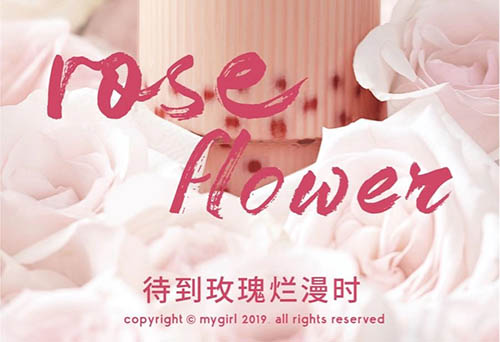 蜜菓情人节|疫情之下,爱未远离