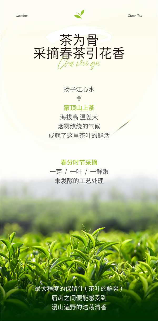 新品免费喝|闲来饮鲜茶，无事话青梅